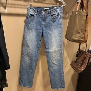 Banana Republic Blue Denim Jeans straight leg